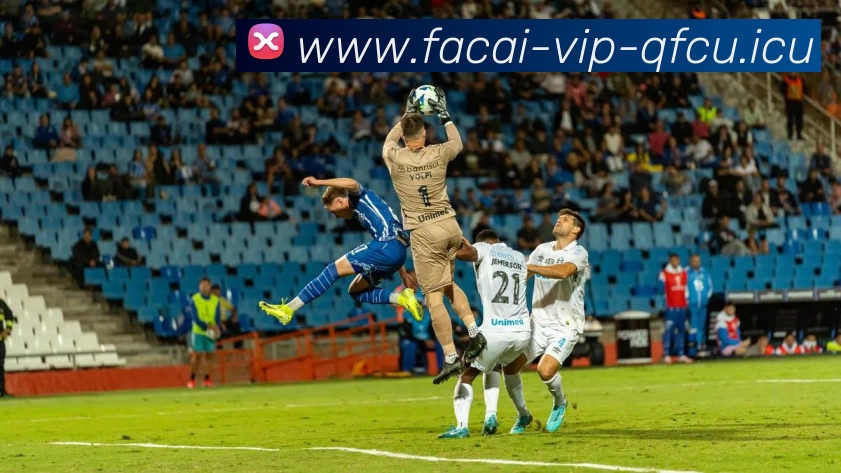 九游体育注册服务体系